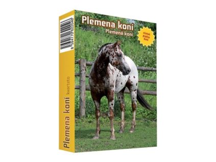 2204 KVARTETO PLEMENA KONÍ