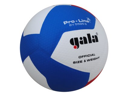 MÍČ GALA VOLEJBALOVÝ PRO LINE 12 PANELŮ   BV5595S