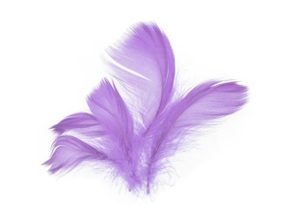 229010 PEŘÍ LEVANDULOVÉ