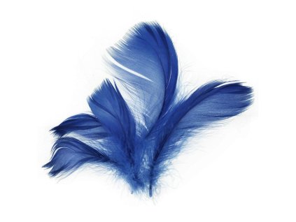 229015 PEŘÍ TMAVĚ MODRÉ 10G