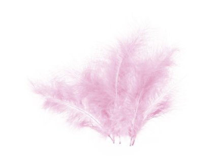 228902 RŮŽOVÁ PEŘÍČKA CCA 16CM,5 KS