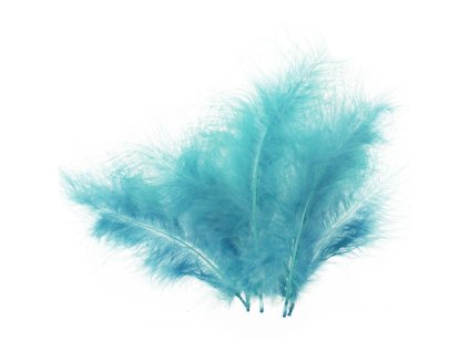 228904 TYRKYSOVÁ PEŘÍČKA CCA 16CM