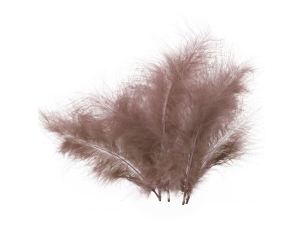 228908 HNĚDÁ PEŘÍČKA CCA 16CM