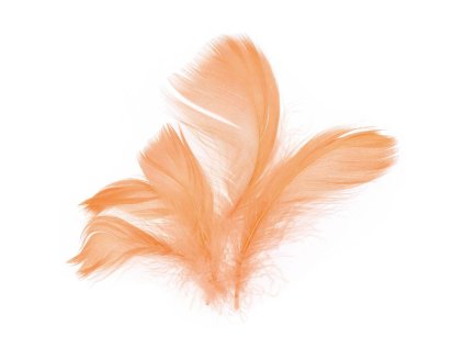 229026 PEŘÍ 10G SVĚTLE MĚDĚNÉ