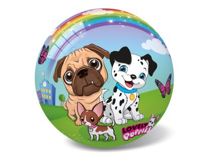 MÍČ 23CM PEJSCI 06537