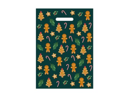 PE TAŠKA VÁNOČNÍ PERNÍČEK 25X35CM V404123