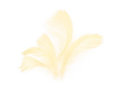 229002 PEŘÍ 10G KRÉMOVÉ