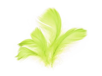 229012 PEŘÍ SVĚTLE ZELENÉ 10G