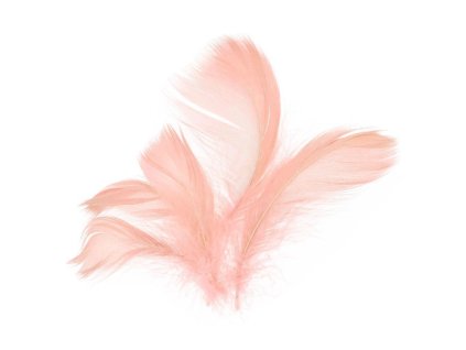 229003 PEŘÍ LOSOSOVÉ 10G