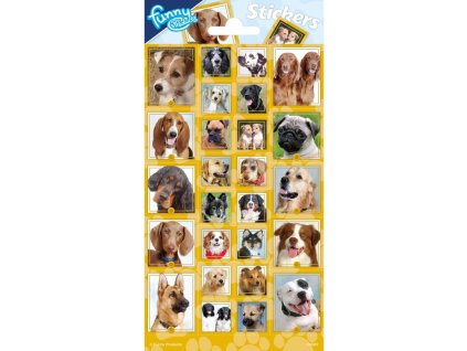 C100667 SAMOLEPKY PSI