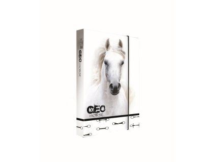 Box na sešity A4 Jumbo Pegas 8-79526