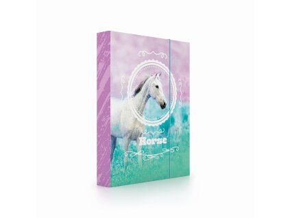 Box na sešity A5 Axolotl 3-77826