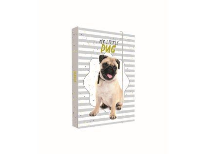 Box na sešity A4 Axolotl 3-75426