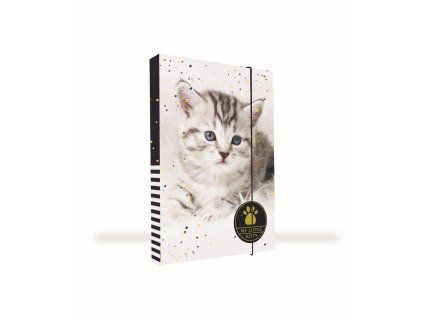Box na sešity A4 Jumbo kočka 1-39526