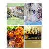 Fotoalbum 13x18cm/36 P5736