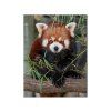 MAGNET 3D 22046 PANDA ČERVENÁ 553 X