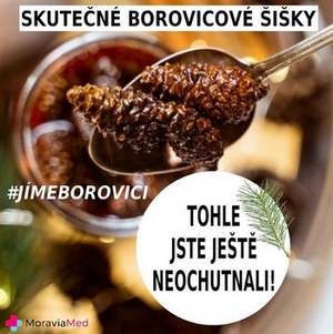 Kandované šišky