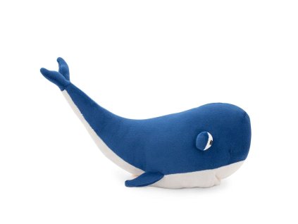 OT5001 35 Velryba ze strany