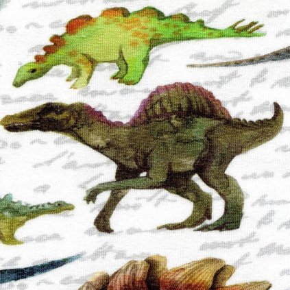 Jednolíc elastický bavlna/Elastan 6% bílý digi tisk Dinosauři