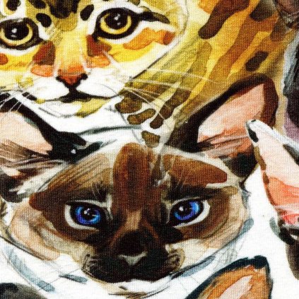 Jednolíc elastický bavlna/Elastan6% digi tisk KOČKY