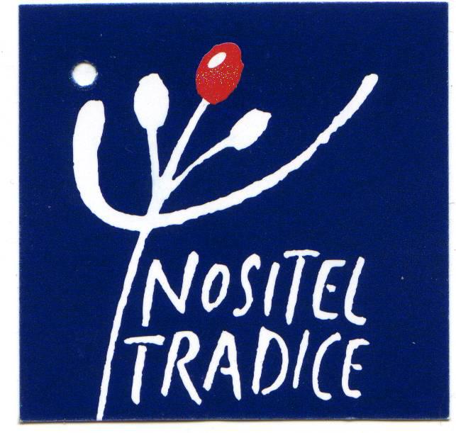 Ocenění Nositel tradice lidového řemesla