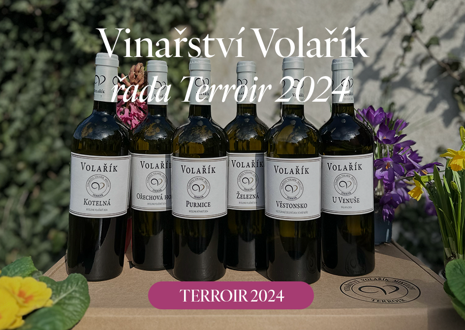 Vinaři