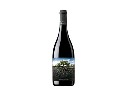 Garnacha - Salvaje Moncayo 2019