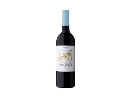 Pagos de Araiz - Roble 2021