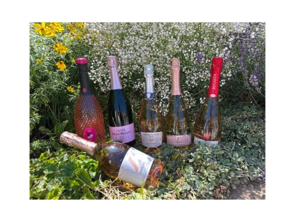 Vinný set Růžové bubliny Prosecco & Cava