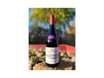 Frédéric Berne – Beaujolais Nouveau 2025