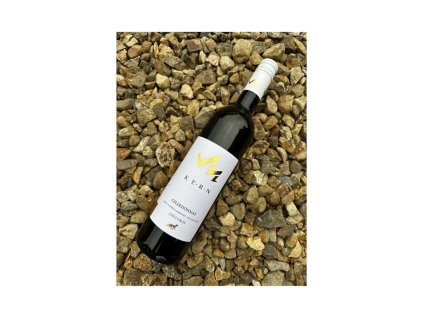 Vinařství Kern Chardonnay 2024 výběr z hroznů, Ořechová hora, polosuché