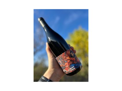 Vinařství Filip Mlýnek Merlot 2024 výběr z hroznů, Plotny, suché