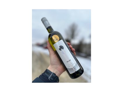 Vinařství Jan Plaček Pálava 2024 pozdní sběr, Nová hora, polosladké