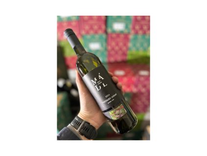 Vinařství Mádl Veltlínské Zelené 2024 pozdní sběr, Zadní hora, suché, Malý vinař