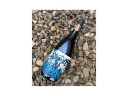 Vinařství Baláž Ryzlink Vlašský 2024 granit, pozdní sběr, PONTIC, Pod Slunným vrchem, suché