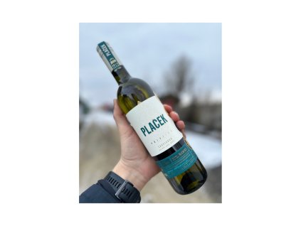 Vinařství Jan Plaček Sauvignon 2024 pozdní sběr, Nová hora, suché