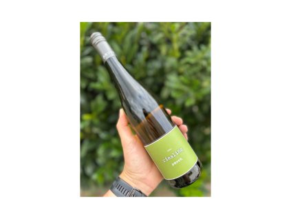 Weingut Bäder Riesling trocken 2024