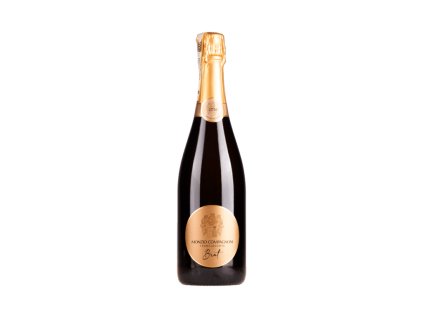 Monzio Compagnoni - Franciacorta Millesimato brut 2019