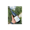 Vinařství Gala Sauvignon 2025 Vesnice Bavory, Perná, suché2