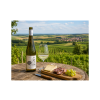 Gruber Grüner Veltliner 2025 Roschitz Weinviertel DAC