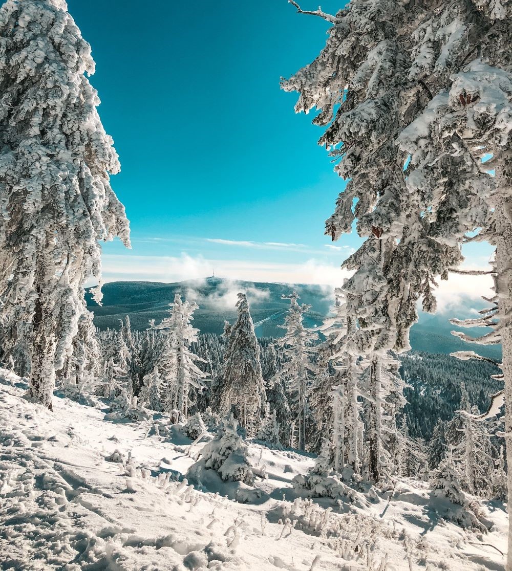 Gesenke, Heimat von Morawood