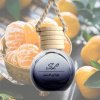 SMELL OF LIFE VŮNĚ DO AUTA MANDARIN ORANGE 10 ML