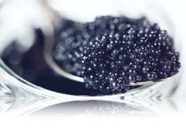 Baner no. 3