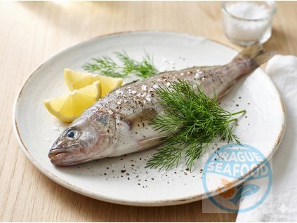 Gemini Generated Image ovwhaoovwhaoovwh