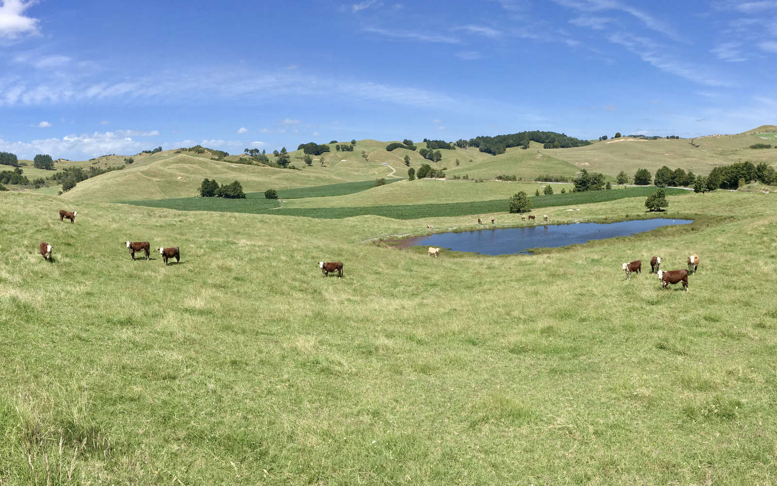 Odpovědi na vaše dotazy ohledně Theovo cesty na Nový Zéland 2025