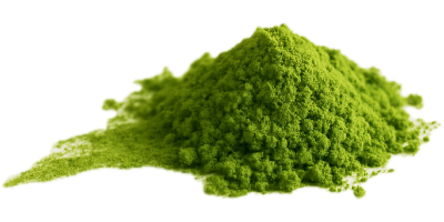 matcha prášek