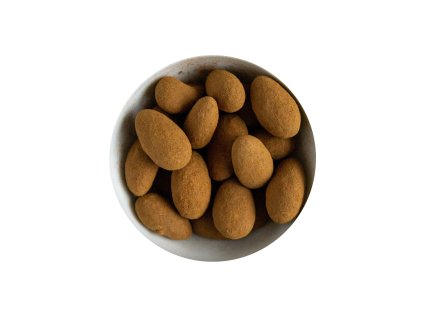 Almonds in chocolate coating sprinkled with cinnamon