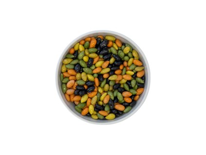 wPT SlunečniceCokoBarevna