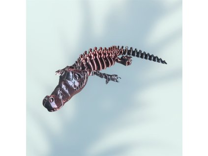 Krokodýl1