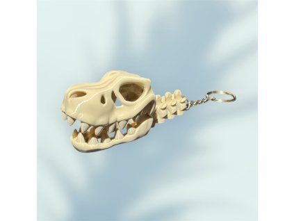 T Rex1